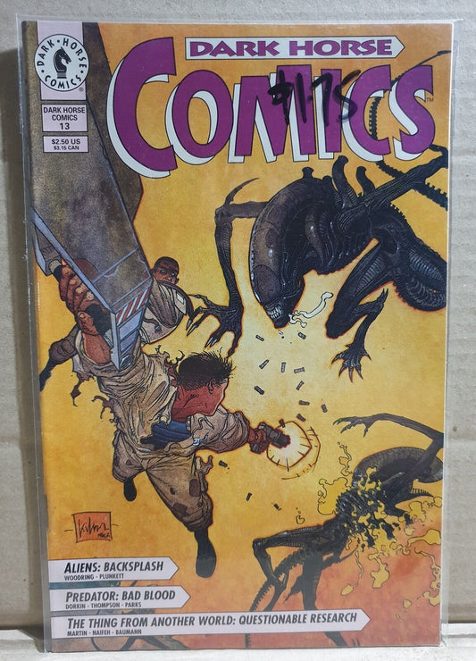 COMIC BOOK ~  DARK HORSE COMICS #13