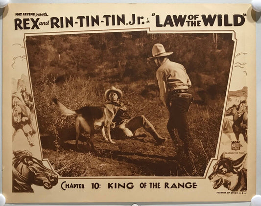 ORIGINAL SERIAL LOBBY CARD - LAW OF THE WILD - 1934 - "Rex and Rin-Tin-Tin Jr