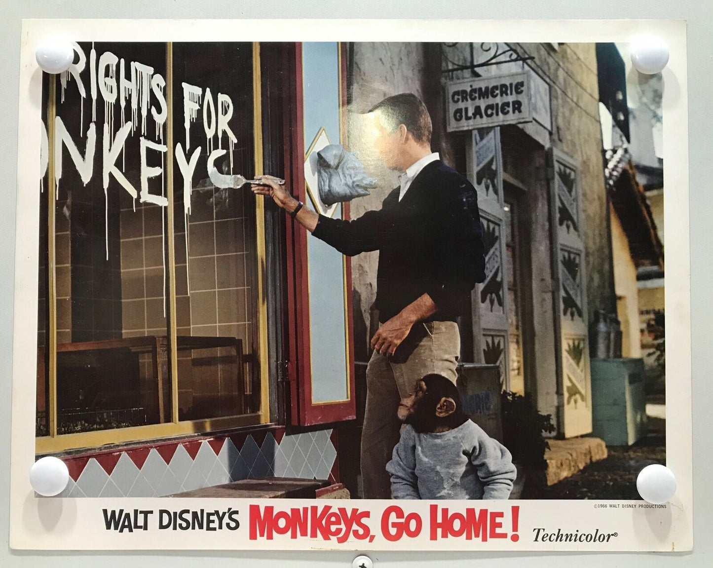 ORIGINAL LOBBY CARDS - MONKEYS, GO HOME! - 1967 - Walt Disney - set of 8 -  M...