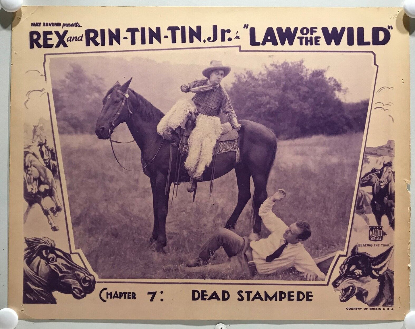 ORIGINAL SERIAL LOBBY CARD - LAW OF THE WILD (b) - 1934 - "Rex and Rin-Tin-Tin Jr"