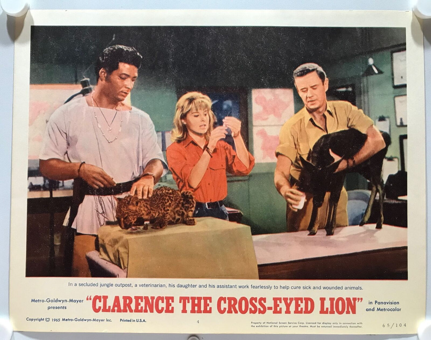 ORIGINAL LOBBY CARDS - CLARENCE THE CROSS-EYED LION - 1965 - set of 8