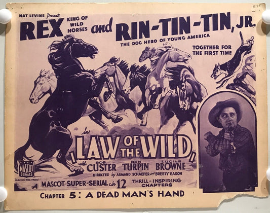 ORIGINAL SERIAL LOBBY CARD - LAW OF THE WILD - 1934 - "Rex and Rin-Tin-Tin Jr"