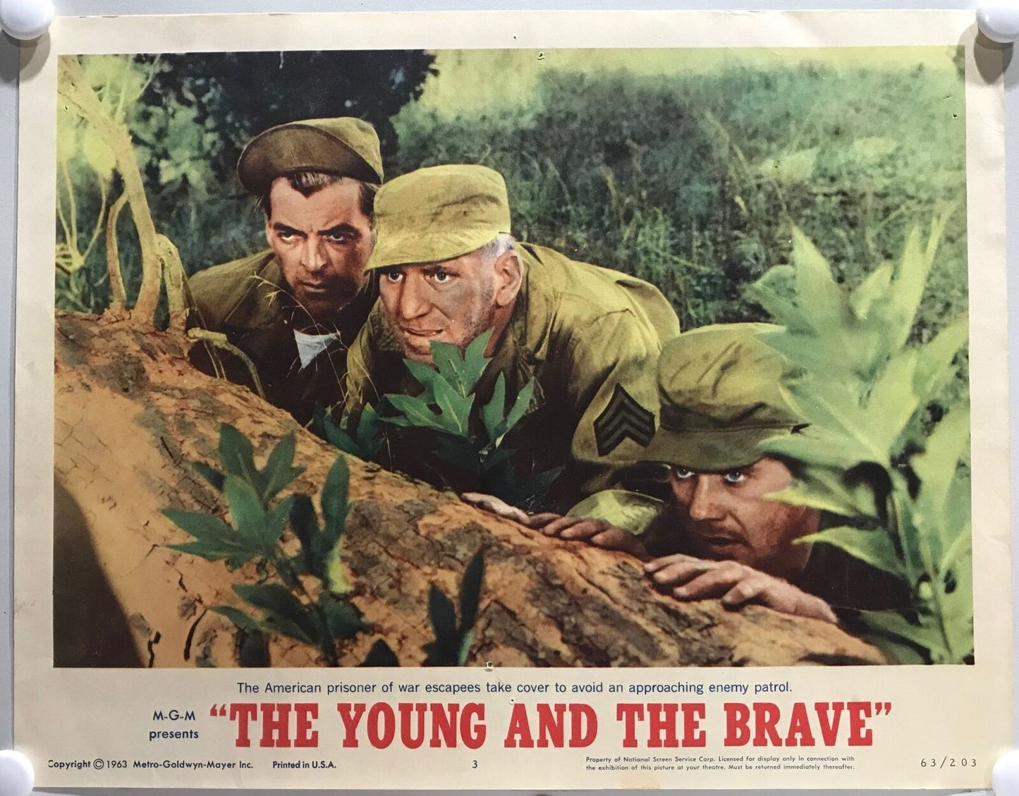 ORIGINAL LOBBY CARDS - THE YOUNG AND THE BRAVE - 1963 - set of 8