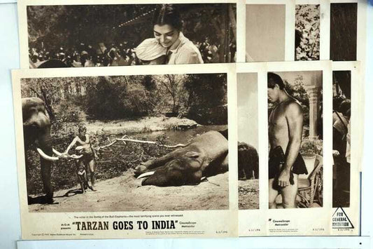 ORIGINAL LOBBY CARDS - TARZAN GOES TO INDIA - 1962 - set of 8