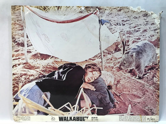 ORIGINAL LOBBY CARD - WALKABOUT (k) - 1971 - key card - Australian