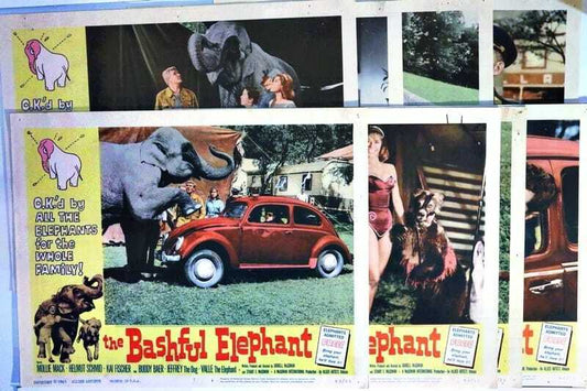 ORIGINAL LOBBY CARDS - BASHFUL ELEPHANT - 1962 - set of 8