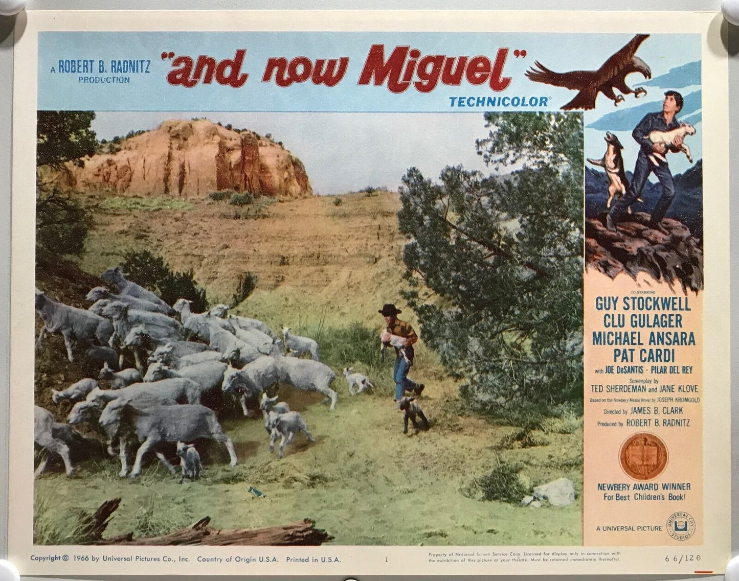 ORIGINAL LOBBY CARDS - AND NOW MIGUEL - 1966 - set of 8