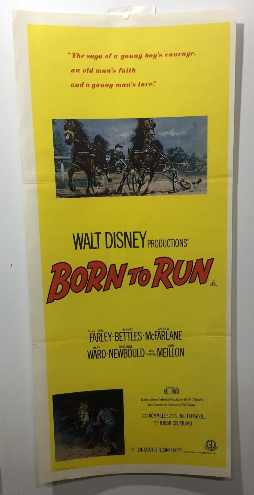 ORIGINAL DAYBILL MOVIE POSTER - BORN TO RUN - 1977 - Disney