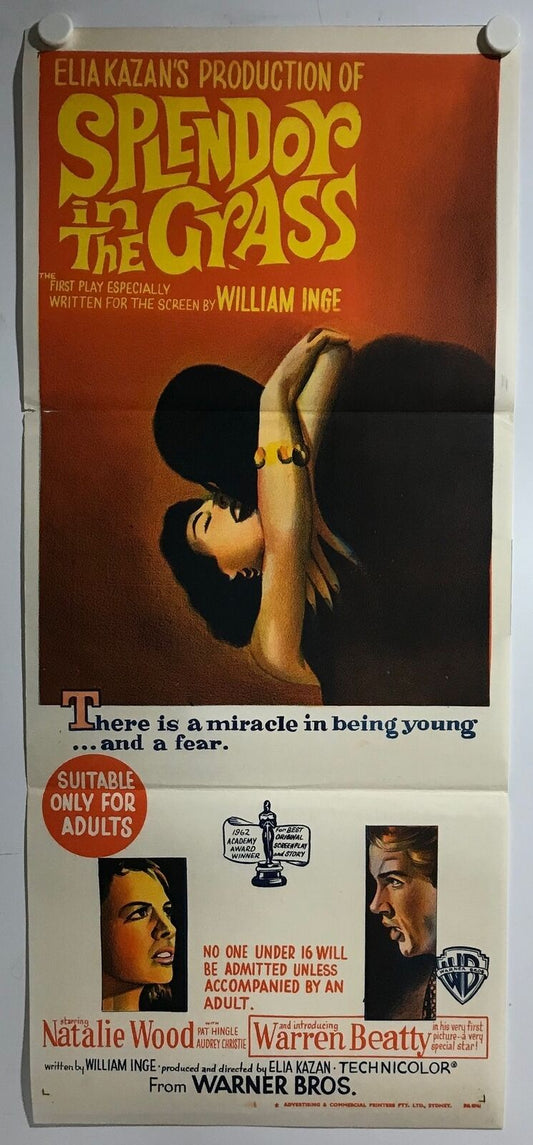 ORIGINAL DAYBILL MOVIE POSTER - SPLENDOR IN THE GRASS - Elia Kazan's Production