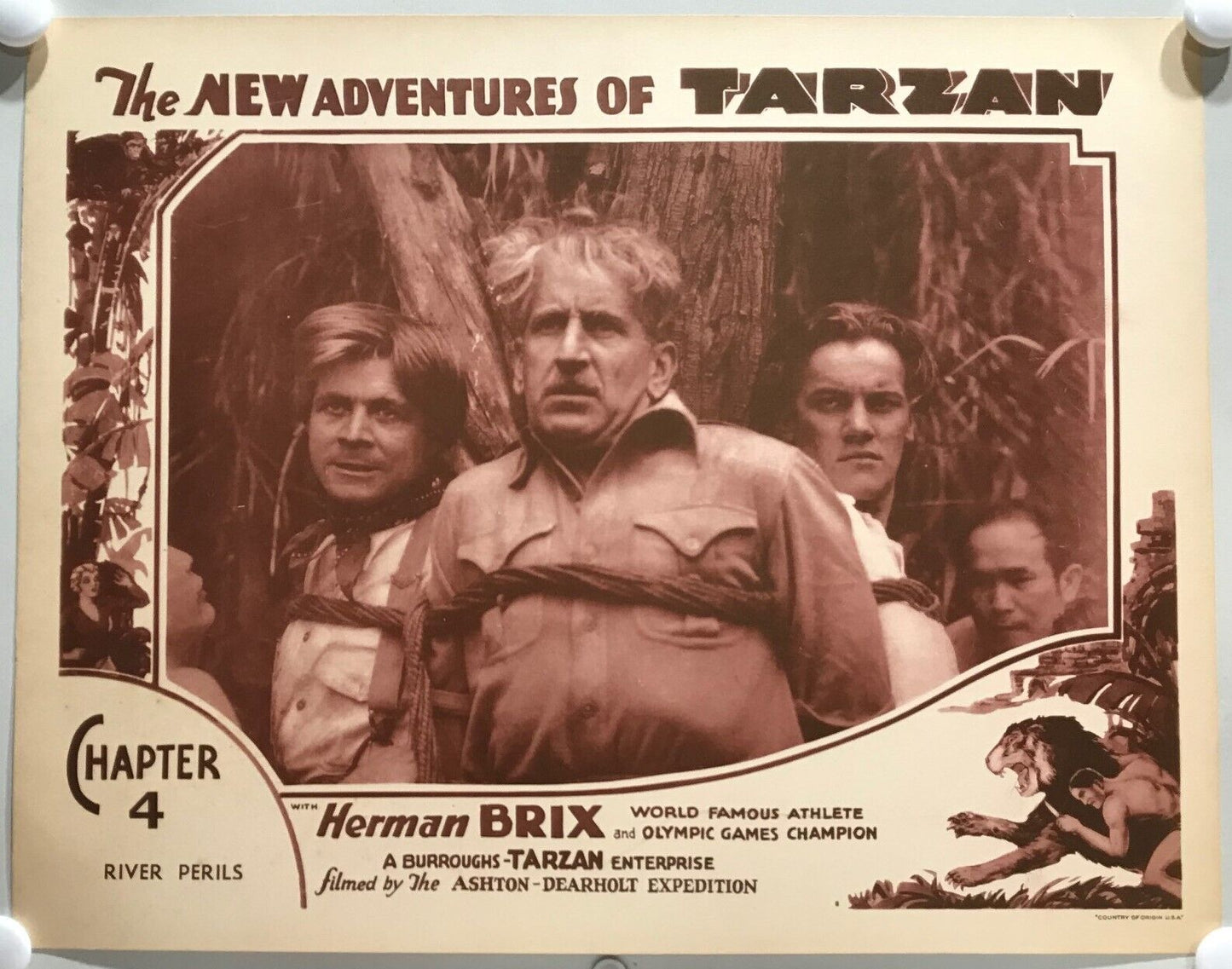 ORIGINAL SERIAL LOBBY CARD - THE NEW ADVENTURES OF TARZAN (d) - 1935 - Ch 4 "...