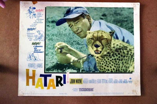 ORIGINAL LOBBY CARD - HATARI! - 1962 - key #5 card