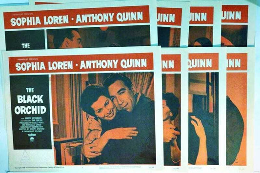ORIGINAL LOBBY CARDS - THE BLACK ORCHID - 1959 - set of 8