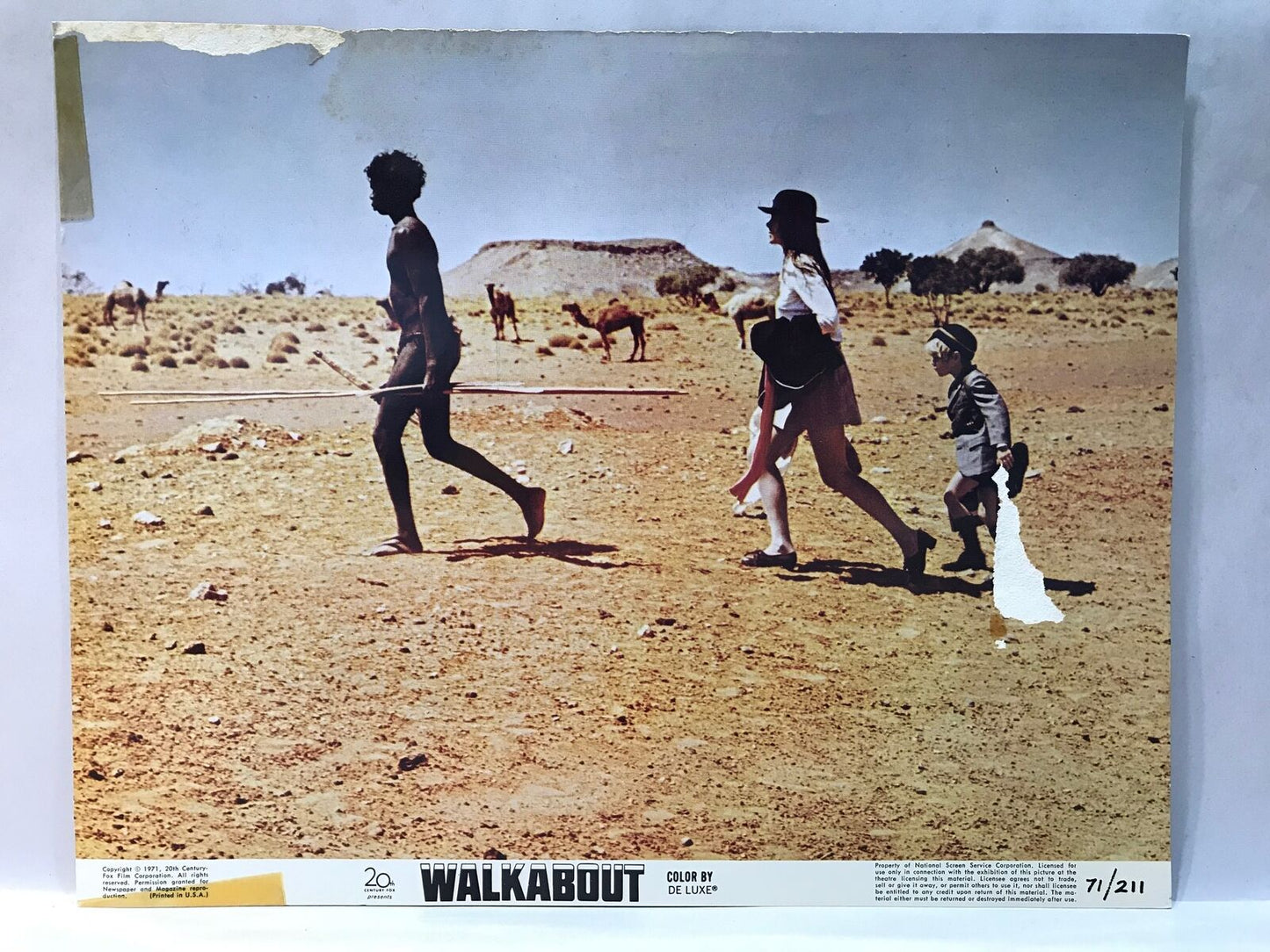 ORIGINAL LOBBY CARD - WALKABOUT (f) - 1971 - key card - Australian