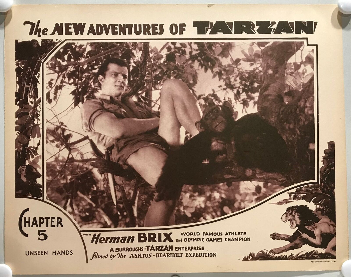 ORIGINAL SERIAL LOBBY CARD - THE NEW ADVENTURES OF TARZAN (b) - 1935 - Ch 5 "...