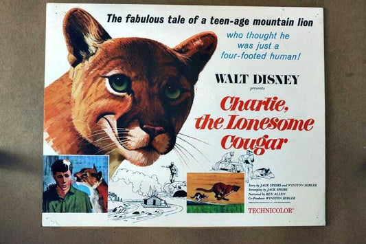 ORIGINAL LOBBY CARD - CHARLIE THE LONESOME COUGAR - Walt Disney - 1967 - title card