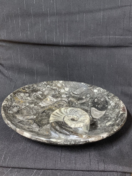 ANCIENT FOSSIL CUT INTO A BOWL - 66,000,000 YEARS+
