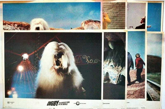 ORIGINAL LOBBY CARDS - DIGBY THE BIGGEST DOG IN THE WORLD - 1974 - set of 8