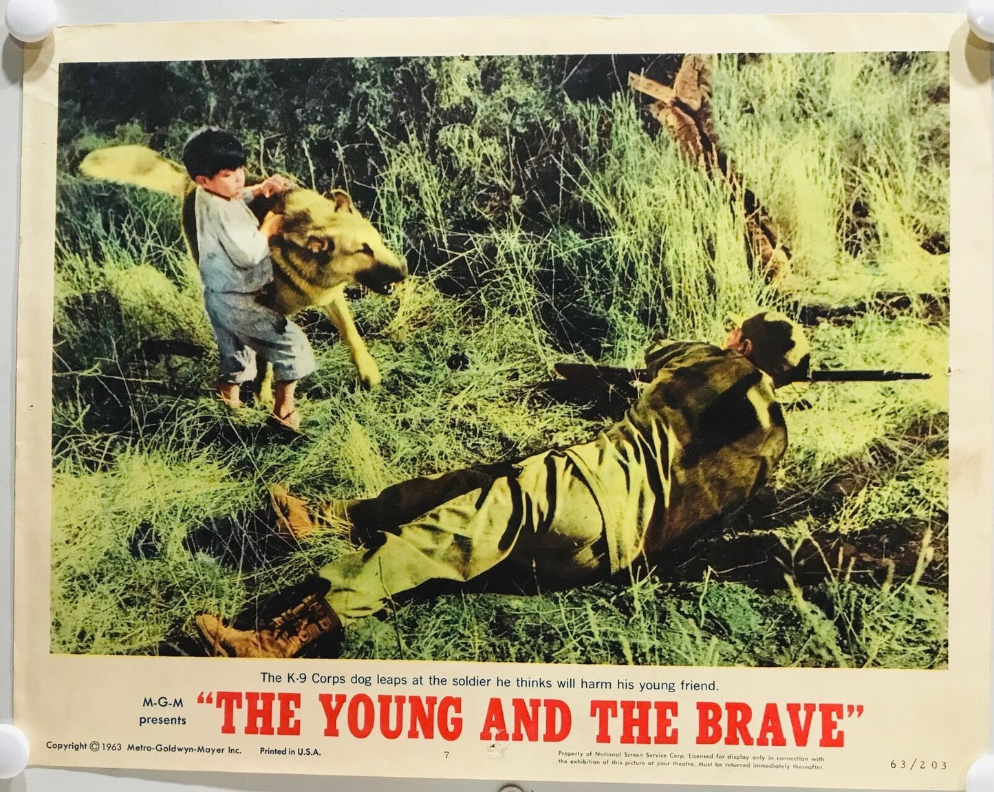 ORIGINAL LOBBY CARDS - THE YOUNG AND THE BRAVE - 1963 - set of 8