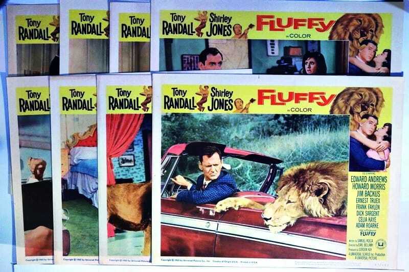 ORIGINAL LOBBY CARDS - FLUFFY - 1965 - set of 8