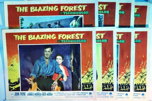 ORIGINAL LOBBY CARDS - THE BLAZING FOREST - 1952 - set of 8