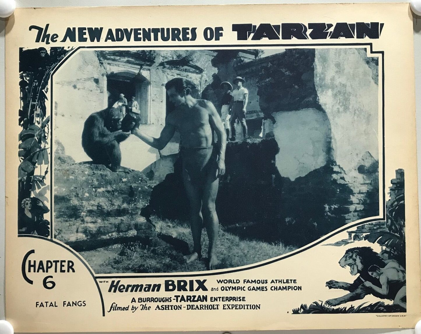 ORIGINAL SERIAL LOBBY CARD - THE NEW ADVENTURES OF TARZAN (b) - 1935 - Ch 6 "...