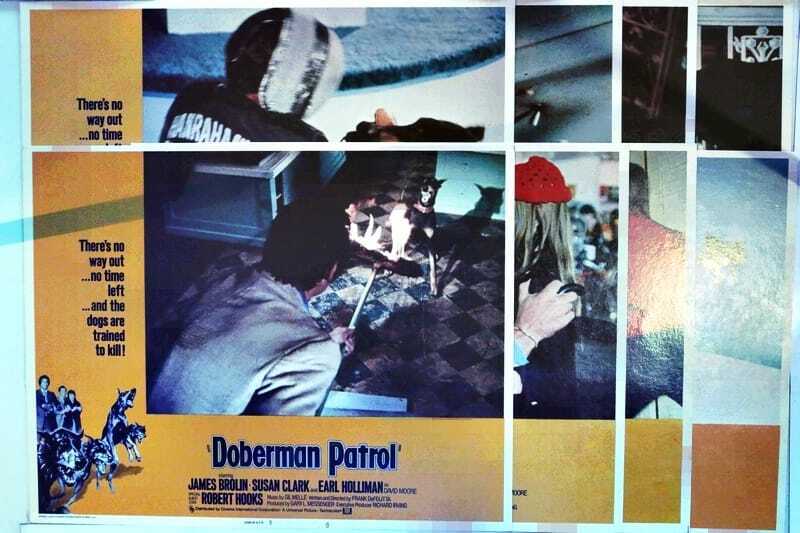 ORIGINAL LOBBY CARDS - DOBERMAN PATROL - 1974 - set of 8