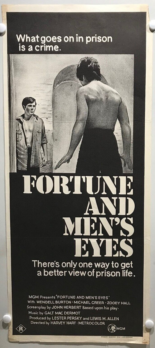 ORIGINAL DAYBILL MOVIE POSTER - FORTUNE AND MEN'S EYES - 1971