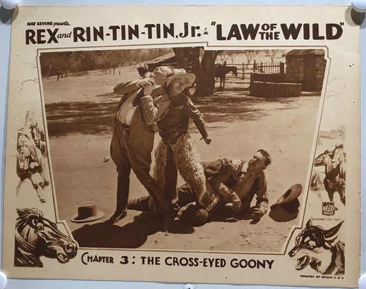 ORIGINAL SERIAL LOBBY CARD - LAW OF THE WILD (b) - 1934 - "Rex and Rin-Tin-Tin Jr"