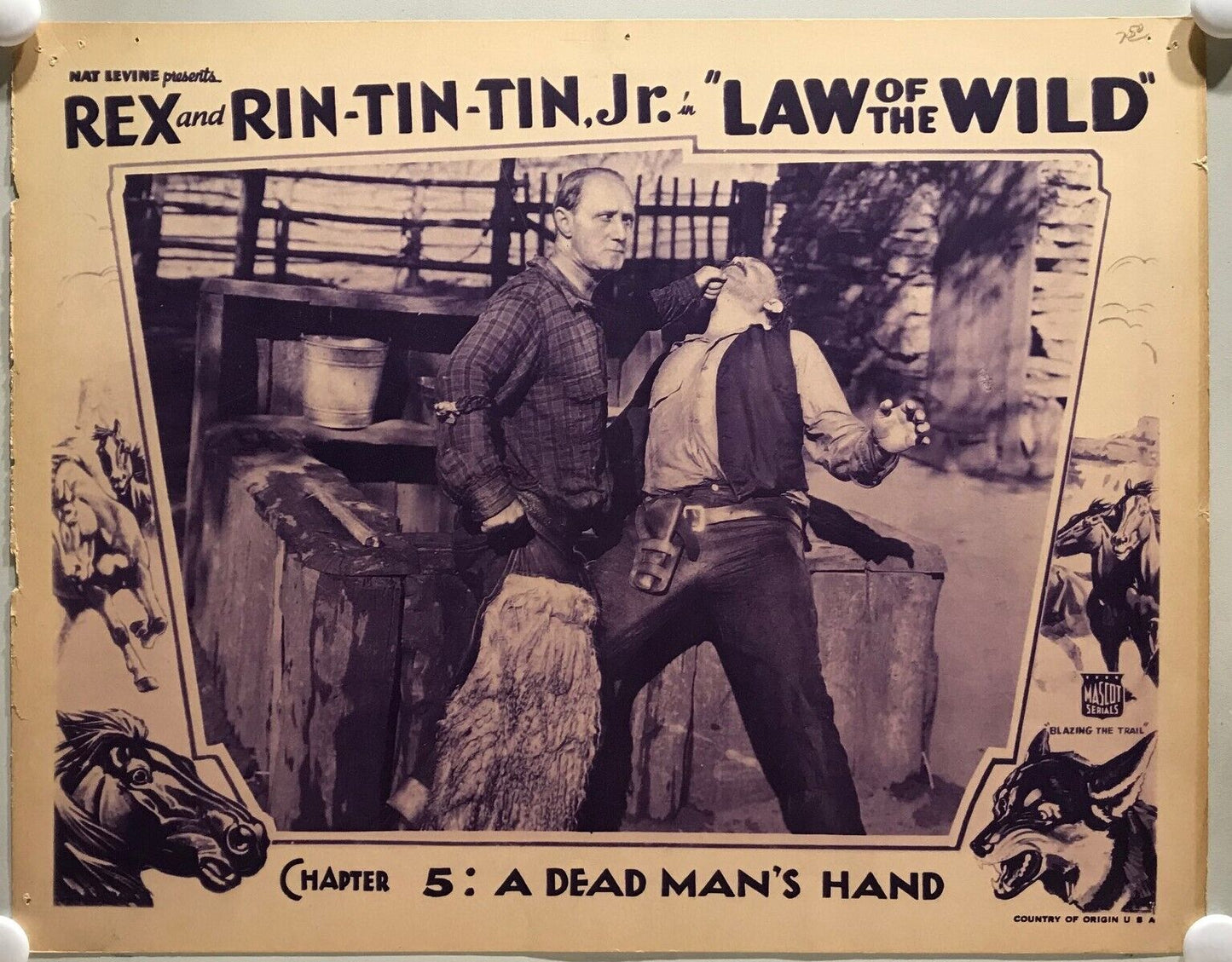 ORIGINAL SERIAL LOBBY CARD - LAW OF THE WILD (c) - 1934 - "Rex and Rin-Tin-Tin Jr"