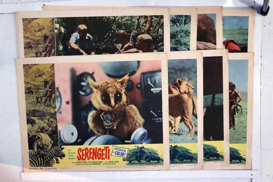 ORIGINAL LOBBY CARDS - SERENGETI - 1960 - set of 8